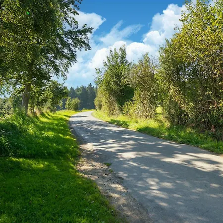 Near The Francorchamps Circuit * Stavelot